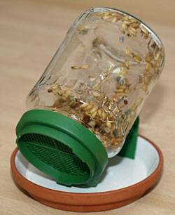 keimfutter_glas.jpg