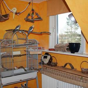 vogelwohnzimmer_hellen_3.jpg
