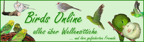 birds-online-logo.jpg